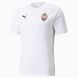 Футболка PUMA FCSD CASUALS TEE 764117-05 Белый, S, 37 см, 45 см, 29 см, 71 см